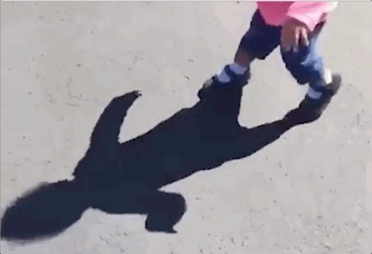 Schatten1